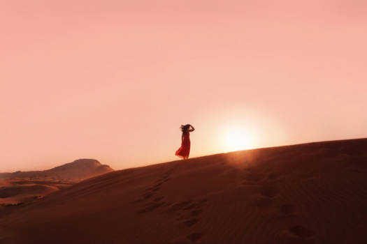 Dubai - Desert sunset