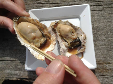Japan - Gegrilde oesters in Mijajima