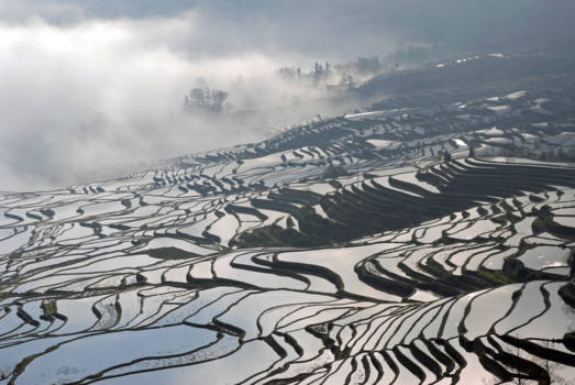 Yunnan provincie - mysterious winter landscape at Yuanyang (Yunnan)