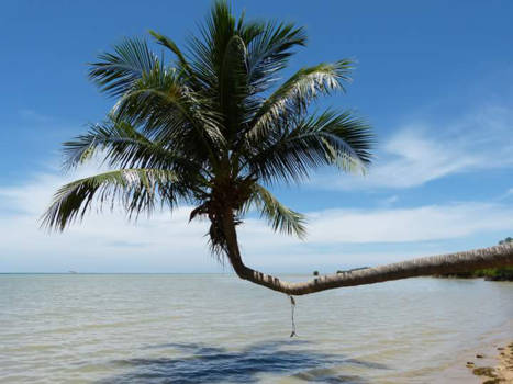 Thailand - Wegdromen naar de tropen. 