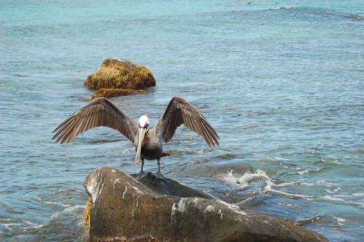 Vietnam - Effe opwarmen