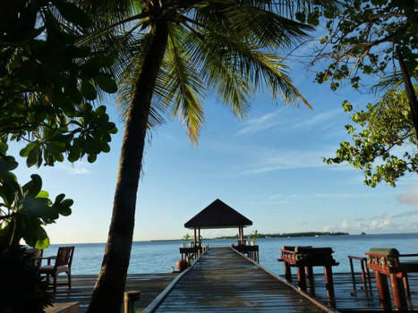 Malediven - Zen worden met de natuur!
