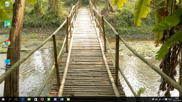 Chitwan National Park - Junglebridge