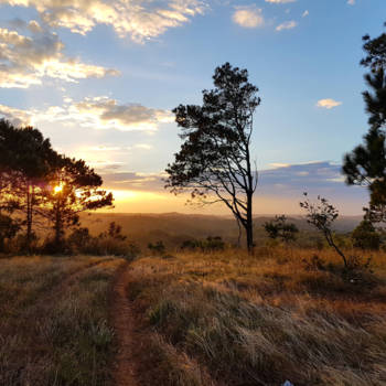 Cambodja - Sunset Mondulkiri