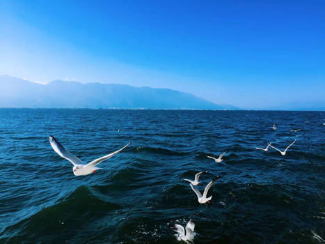 Chinese Muur - On the road again