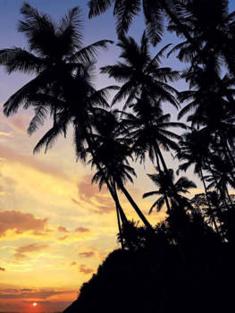 Sri Lanka - Matara Beach Sunset!