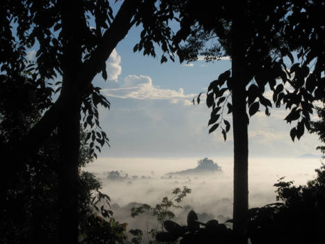 Sandakan - Het dak van het regenwoud