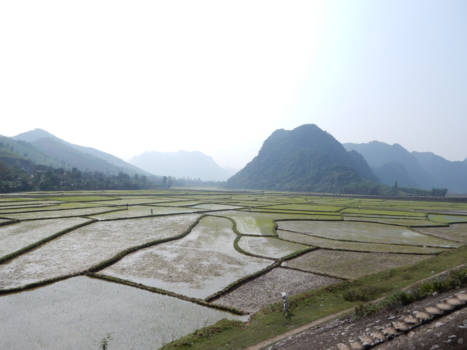 Phong Nha-Ke Bang National Park - Typisch Vietnam