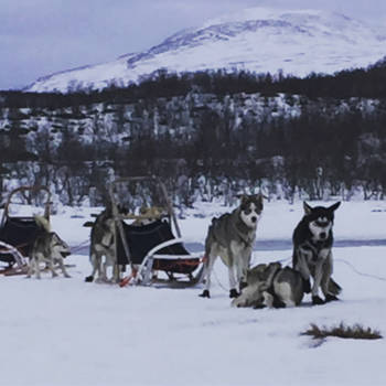 Rusland - Noordpoolgebied