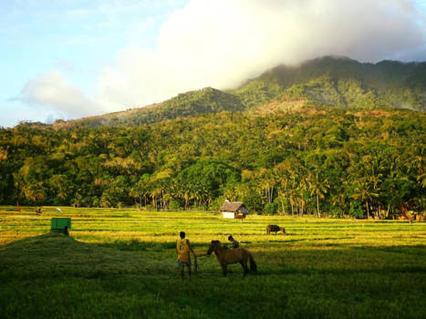 Filipijnen - Werken op het platteland van Camiguin met een vulkaan boven je