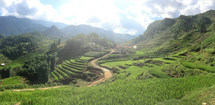 Sapa - Rijstvelden in Sapa
