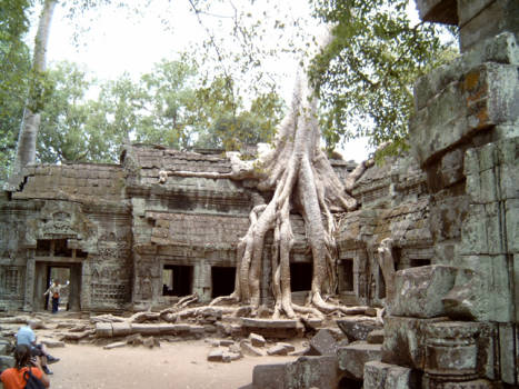 Angkor Wat - De natuur verovert terug op de mens