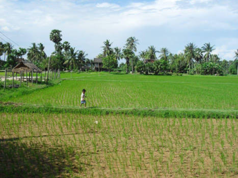 Cambodja - The journey to the unknown