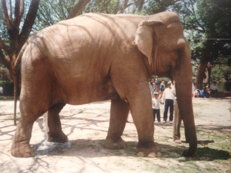 Kathmandu - Waterval