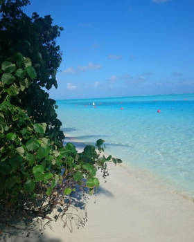 Malediven - Uitzicht vanaf huisje