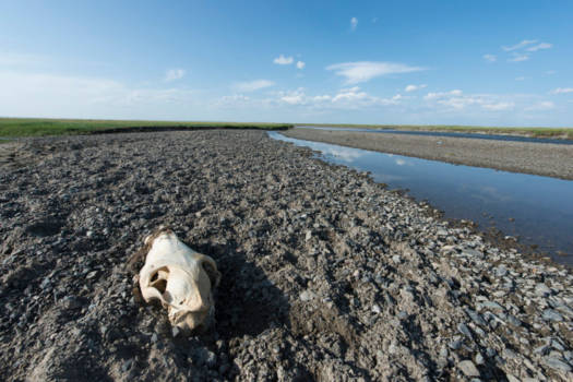 Mongolië - Central Mongolia