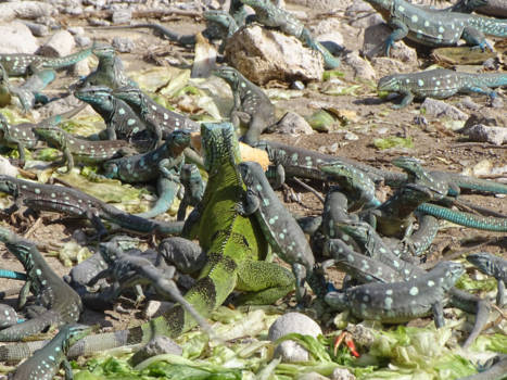 Halong Bay - Gezellig bij elkaar