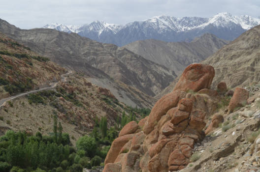 Himalaya - Een kikker van steen in de Himalaya
