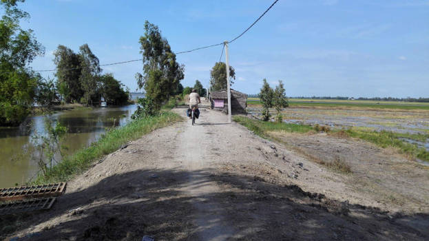Vietnam - Fietsend door de rijstvelden