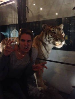 India - Dreaming of adventure