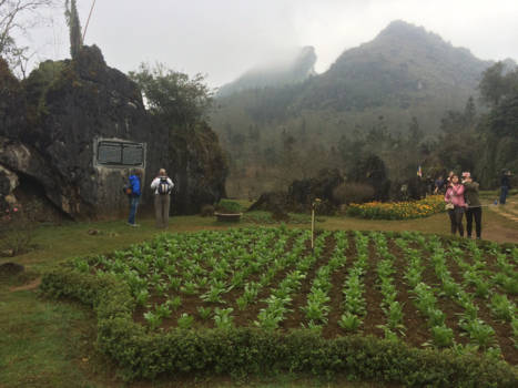 Vietnam - Sapa landscape