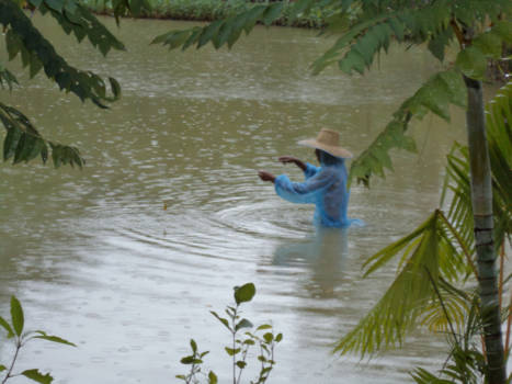 Thailand - de vissers in de isaan
