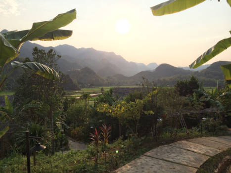 Vietnam - Green Mai chau