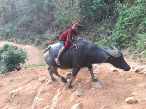 Inle Lake - Trekking Kalaw to Inle lake