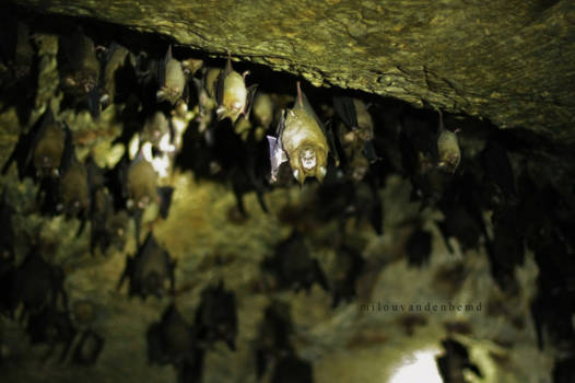 Maleisië - Lekker hangen