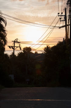Koh Phangan - Natures lifeline