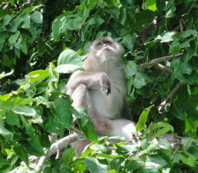 Thailand - Even filosoferen over het leven!