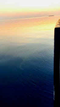 Malediven - Nurse Shark Sunset