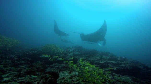 Malediven - Helloo Sunshiness