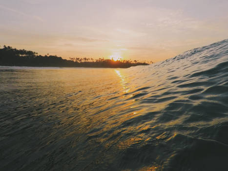 Sri Lanka - Morning Surf