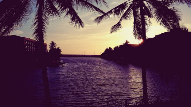 Colombo - Uitzicht vanuit de trein van Hikkaduwa >>  Colombo Sri Lanka