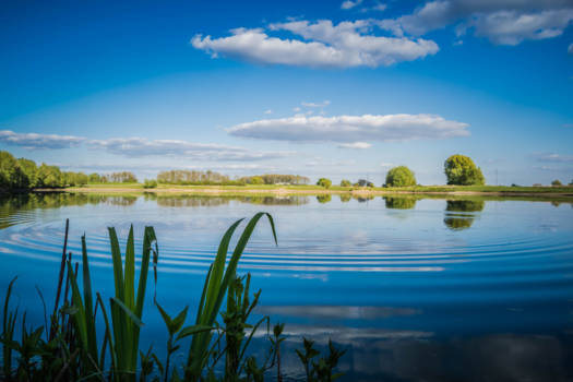 Palawan - Heerlijke wandelreis door ons eigen prachtige Nederland.