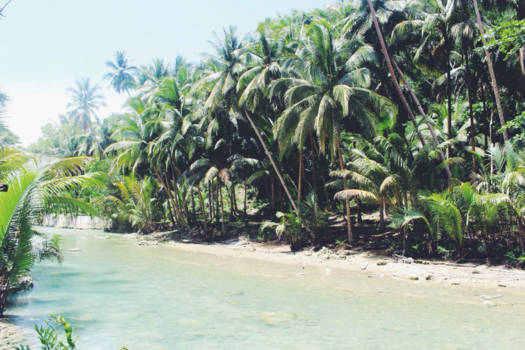 Filipijnen - Another day in Paradise