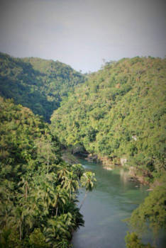 Bohol - Green views