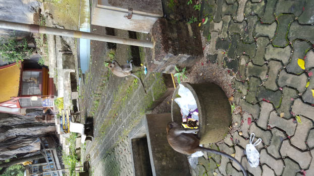 Krabi - Natuur?niet natuurlijk