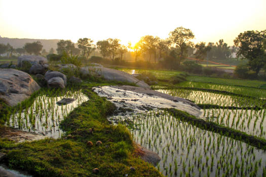 India - Off the beaten path