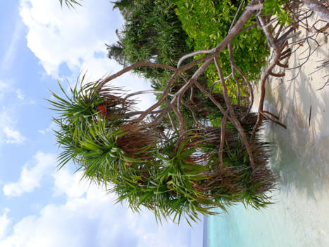 Sri Lanka - Strandpracht