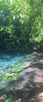 Thailand - Blue wonder