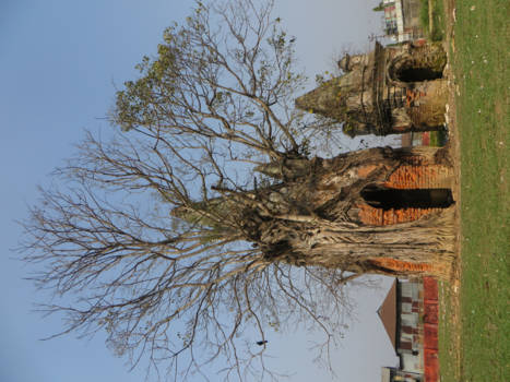 Himalaya - zijn eigen weg..