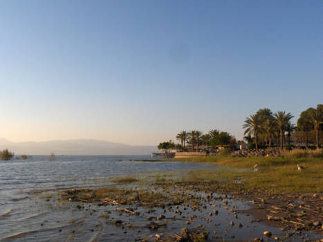 Tel Aviv en Jaffa - Meer van Galilea, kibbutz Ein Gev