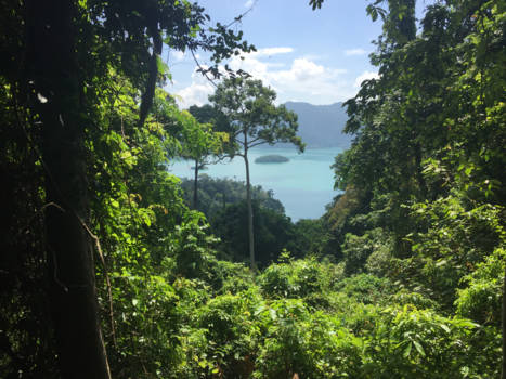 Thailand - Khao Sok National Park