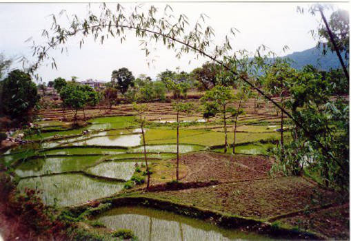 Nepal - Nepal, een fantastische ervaring