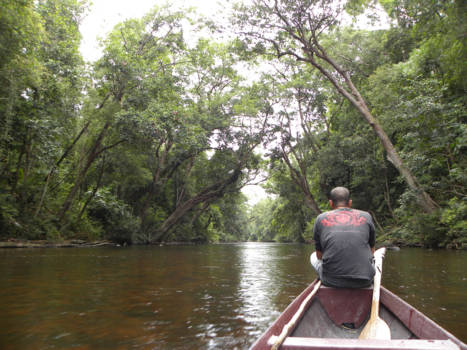 Maleisië - Taman Negara National Park