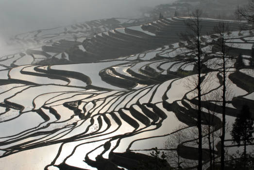 Yunnan provincie - Yuanyang foggy sunrise