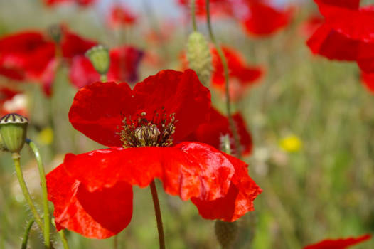 Turkije - het geluk aan mijn zijde