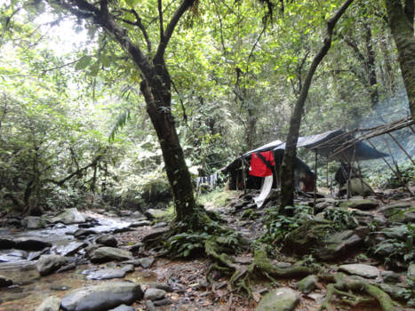 Filipijnen - Vakantieliefde: wegwerpcamerafoto, beste vriendinnen, hutje midden in de jungle